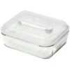 Glasslock Handy Food Container + Insert