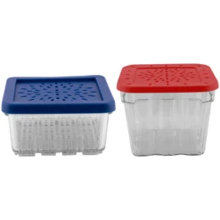 Avanti Berry Baskets - 2 Piece Set