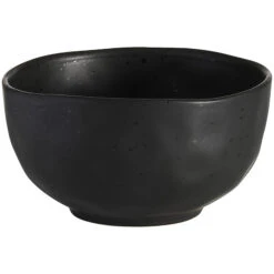 Ecology Speckle Ebony Noodle Bowl