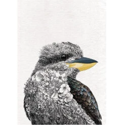 Maxwell And Williams Marini Ferlazzo Birds Tea Towel 50cm X 70cm - Kookaburra