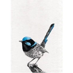 Maxwell And Williams Marini Ferlazzo Birds Tea Towel 50cm X 70cm Superb - Fry-Wren