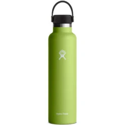Hydro Flask 24oz Standard Mouth Flex Cap - Seagrass