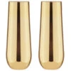 TEMPA Aurora Gold 2pk Stemless Champagne Glass